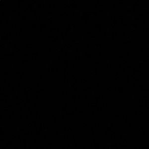 Meet your Posher, Zeinab